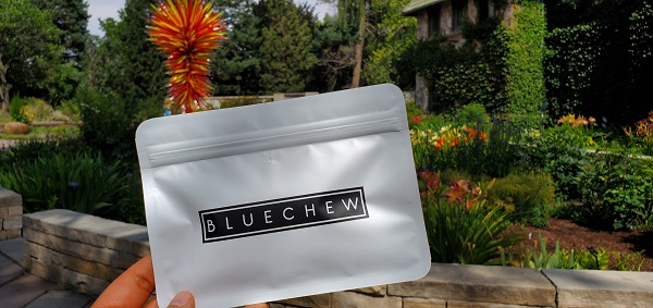 Bluechew Results After 1 Month: Sildenafil and Tadalafil Review